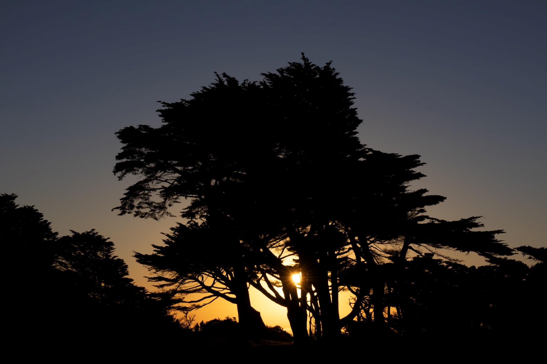 Mountain summit at dawn