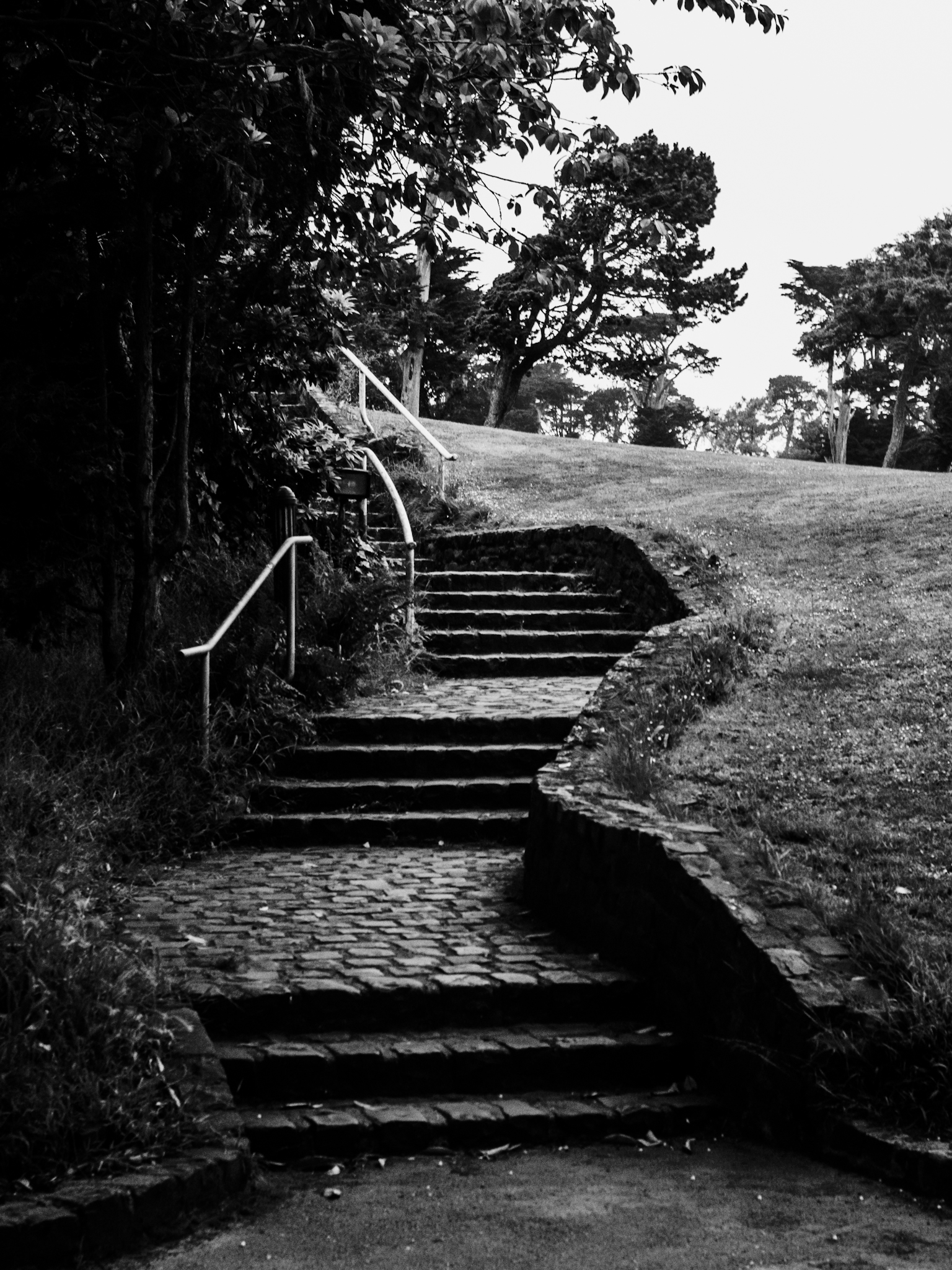 Monochrome landscape