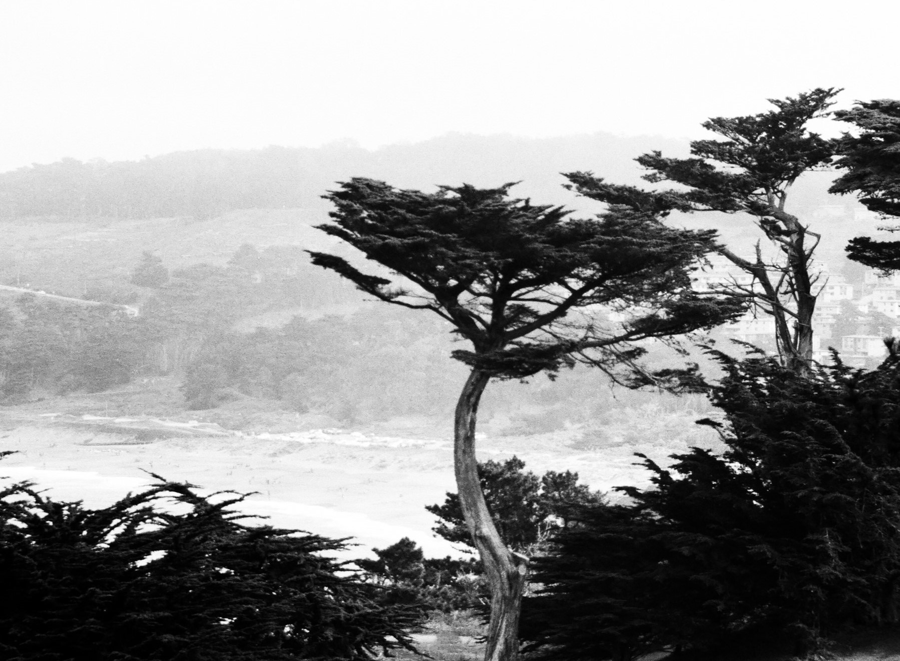 Monochrome landscape