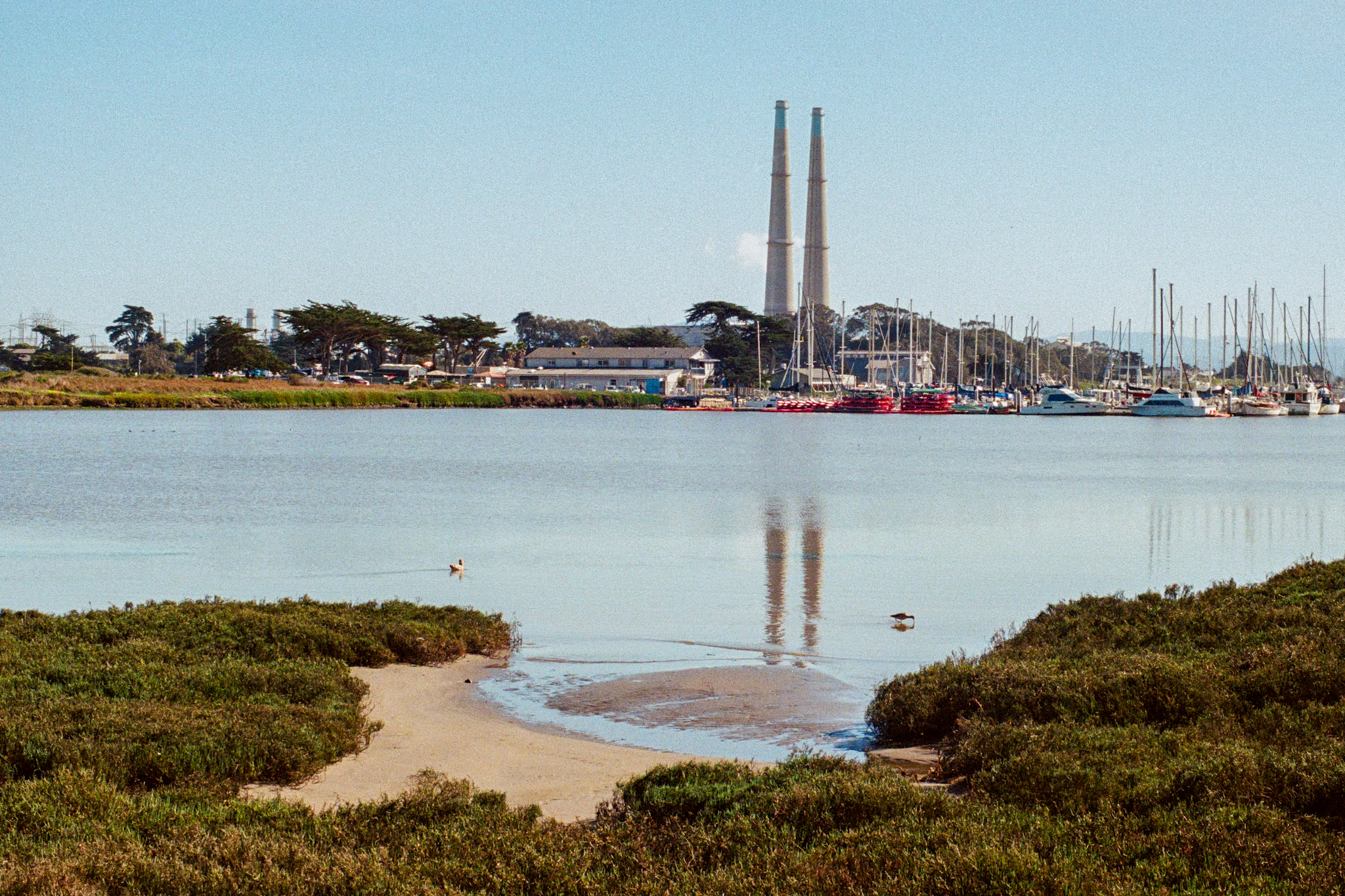Environmental portrait
